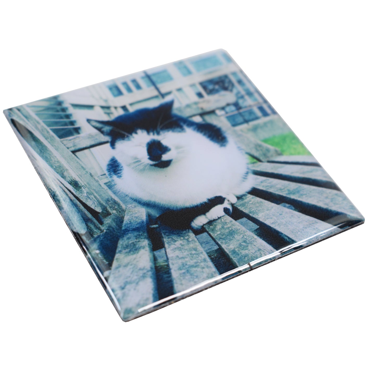 Campus Cat Fridge Magnet - Square