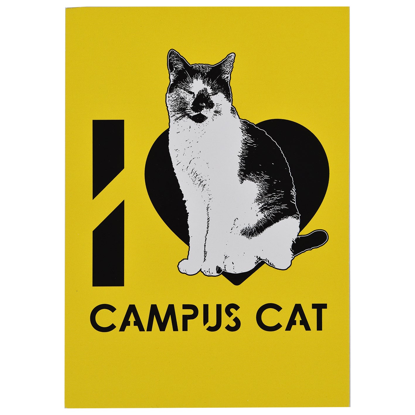 Campus Cat Postcard