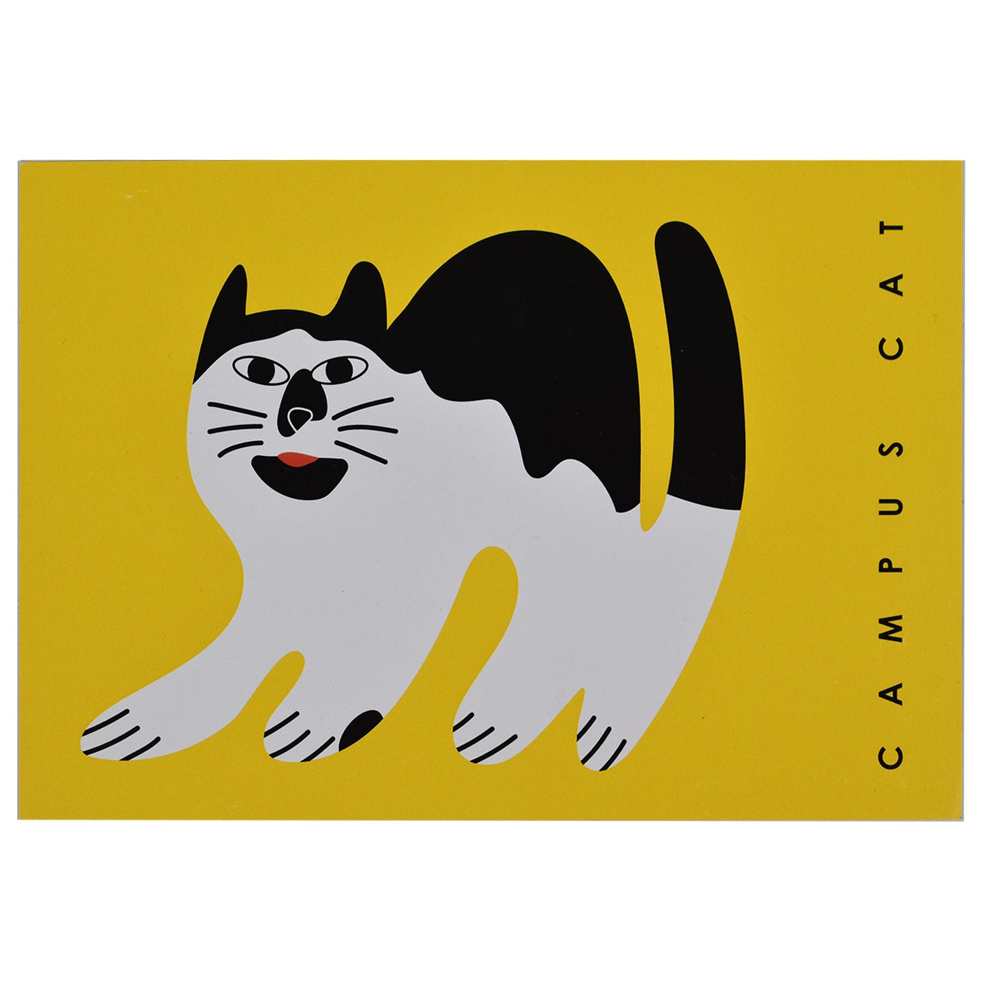 Campus Cat Postcard