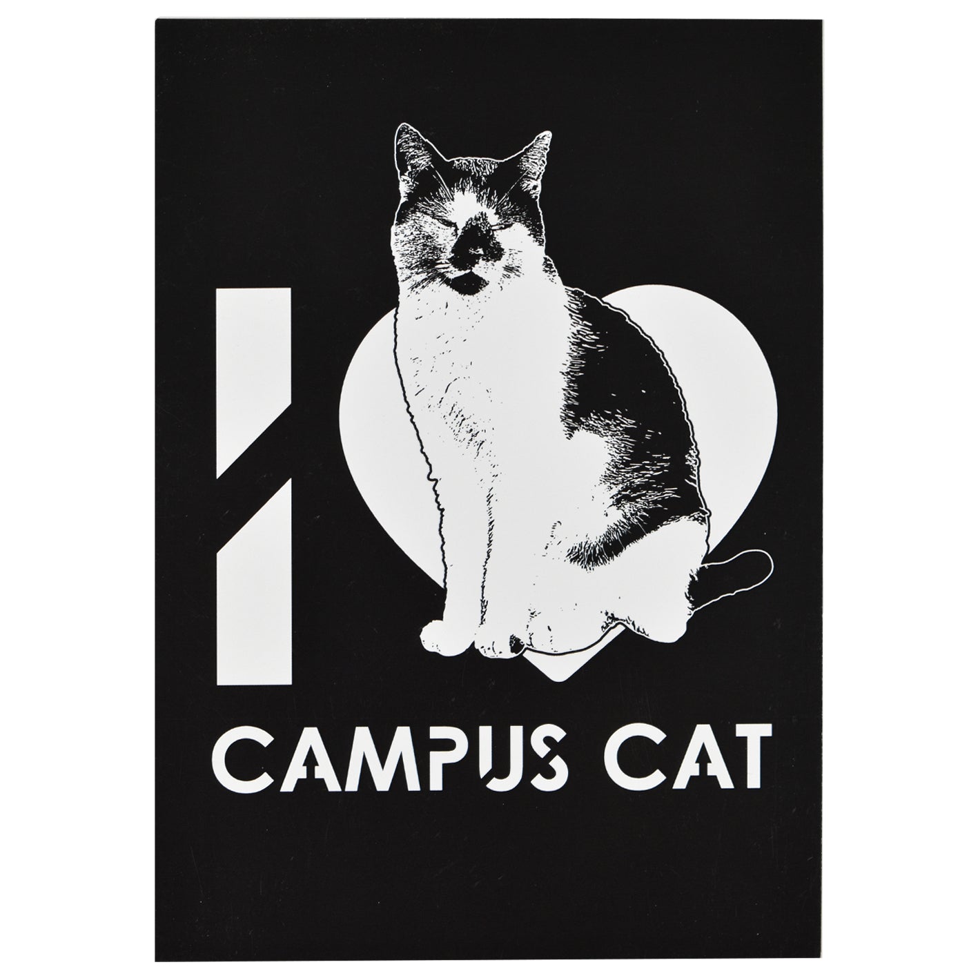 Campus Cat Postcard