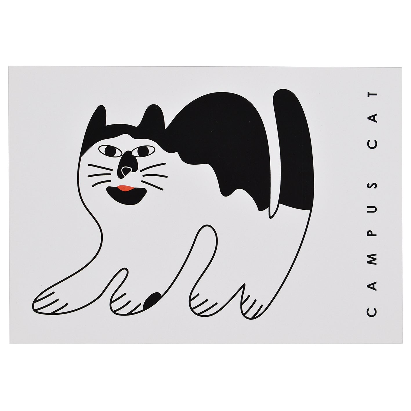 Campus Cat Postcard